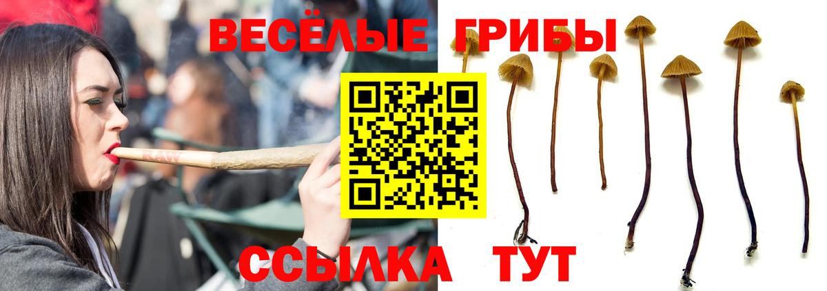 Кемерово  Псилоцибиновые грибы ЛСД  Вход с VPN 